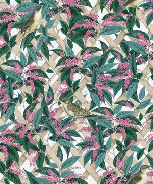 Brassica hvid bund M/ fugle og blomster