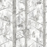 Grizedale egetræer og egern M/ lysegrå bund og grå blade
