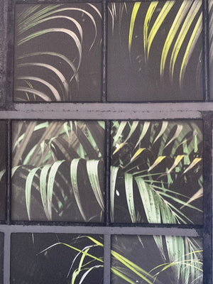 Living walls drivhus tapet M/ grønne blade og sort bund