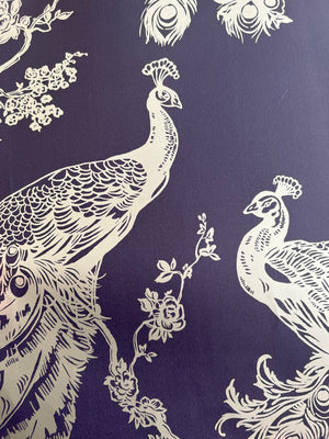 Glistening peacock M/ lilla bund