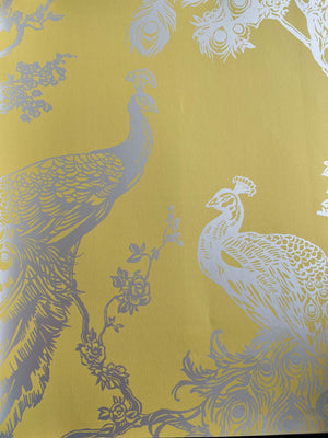 Glistening peacock M/ gul bund